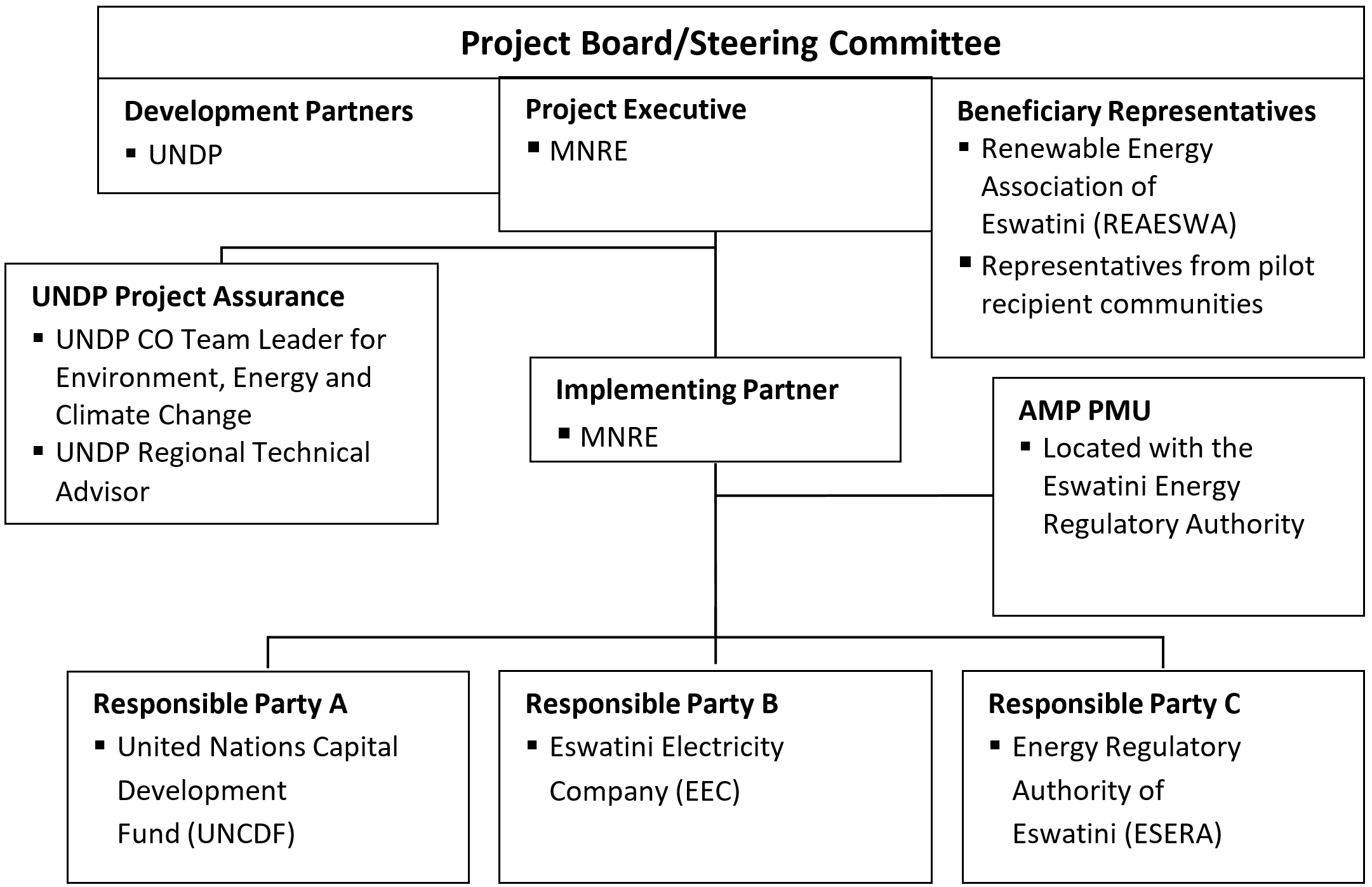Project Organisational Structure