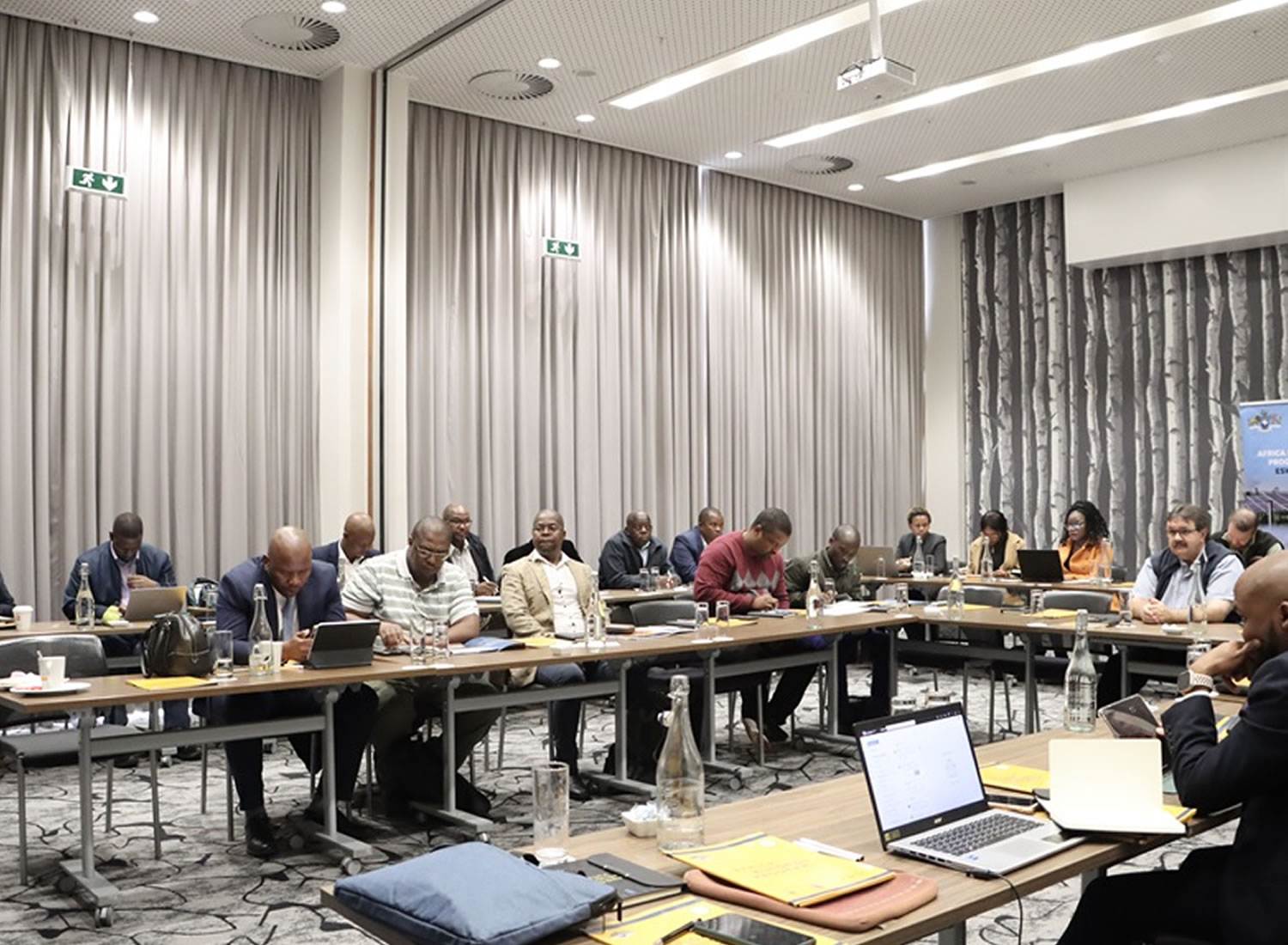 AMP Eswatini's Derisking Renewable Energy Investment's (DREI) trajectory